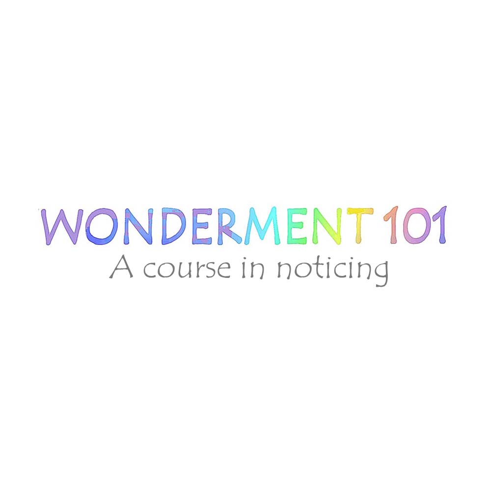 Wonderment 101 | A Course in Noticing