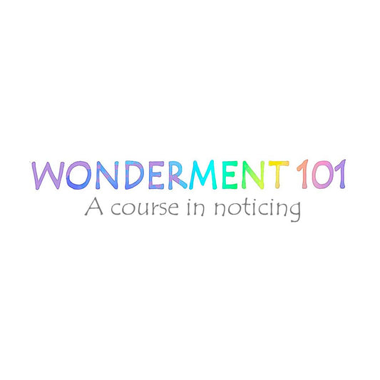 Wonderment 101 | A Course in Noticing