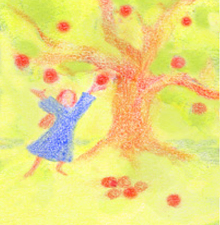 Teach Wonderment Family membership