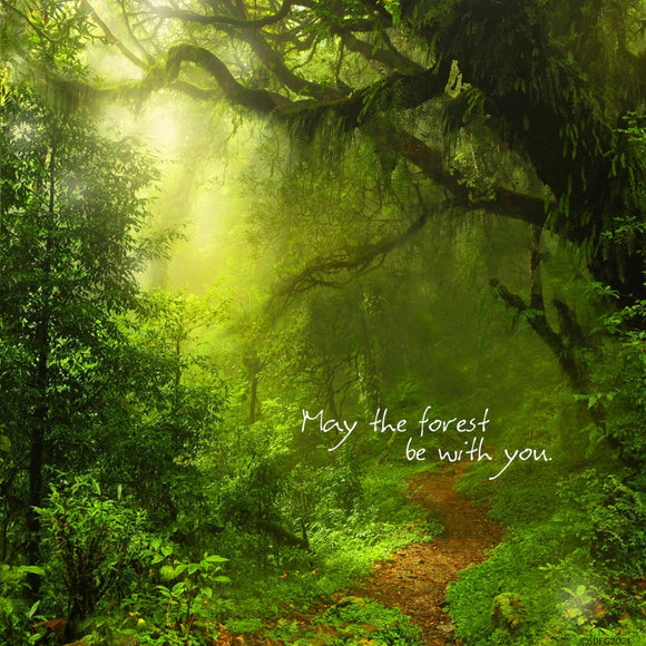 May the Forest be with You - downloadable poster